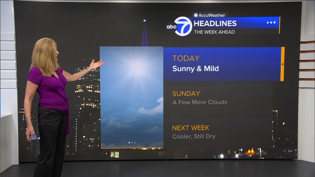 AccuWeather Forecast: Sunny and mild
       — ABC 7 Bay Area, Richardson Community news