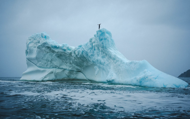 Cliff diver Molly Carson makes history, becomes first woman to dive off iceberg — WESH 2 Orlando, Richardson Community news